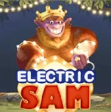 Electric Sam